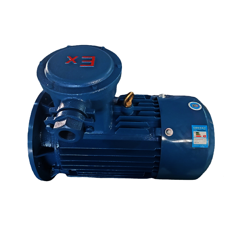 防爆電機(jī)